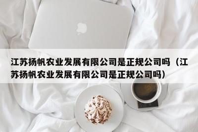 江蘇揚帆服飾 深耕針紡織品領域的專業(yè)供應商